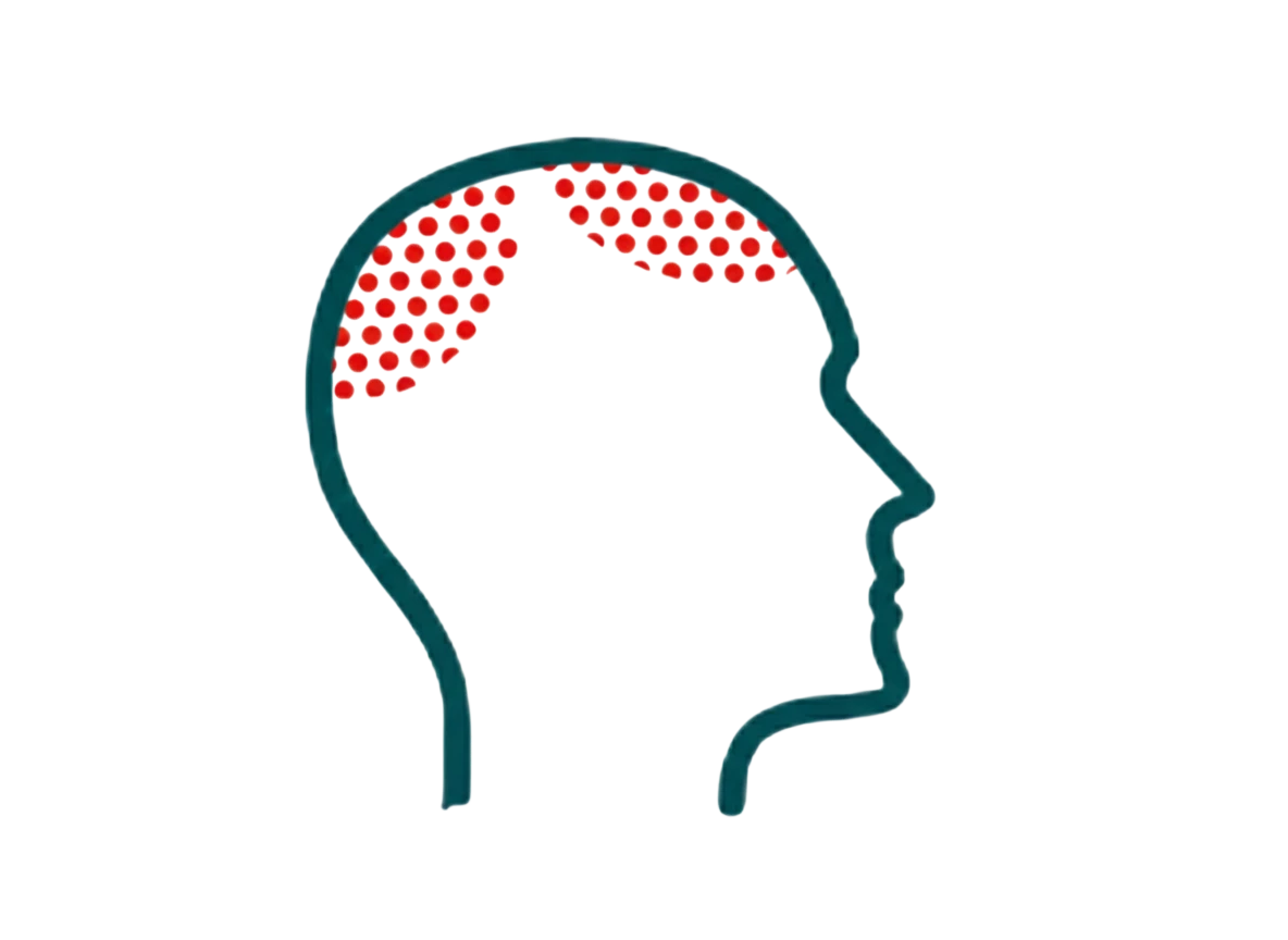 Micropigmentación detallada